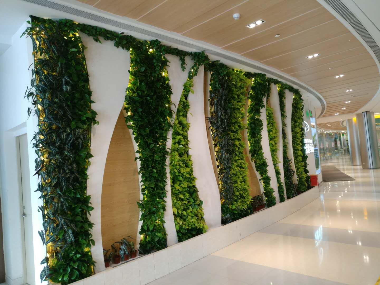 巴西糖减产预期上升 纽约原糖期货价格持续上涨