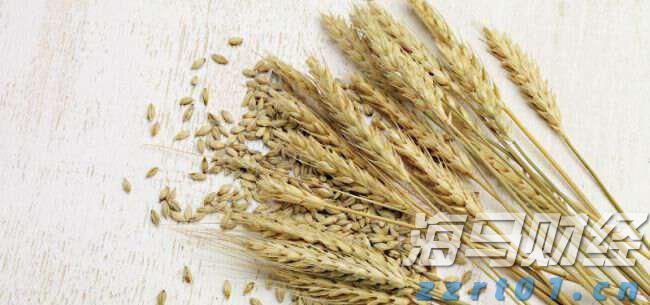 我市召开“扫黄打非”工作会议