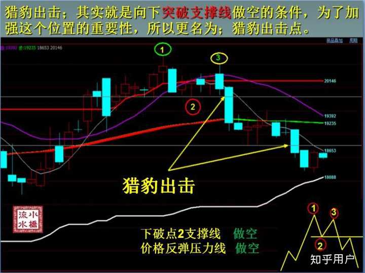 联播+｜闻“汛”而动 人民至上