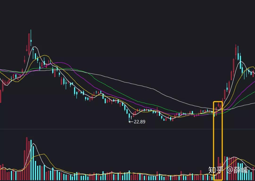 欧央行执委Cipollone：当前经济面临“复杂信号” 降息决策需更明确指引