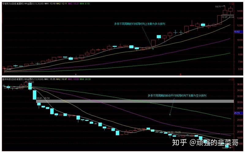 Trade Desk(TTD.US) Q2业绩发布后股价暴跌近40%，凯茜·伍德迅速增持超72.5万股