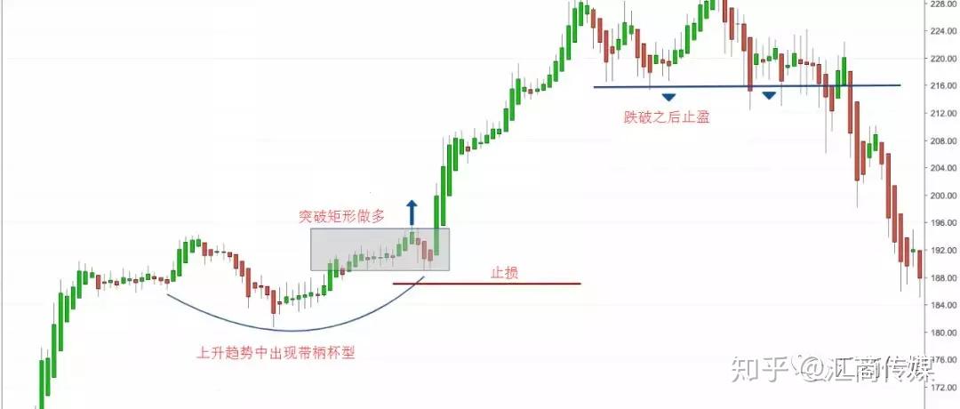港宁小学：至美校园育新人