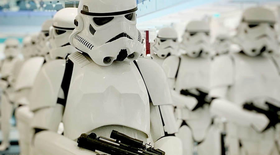 “稀客”紫背椋鸟到访福建